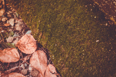 Similar image 9468499