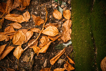 Similar image 9468545