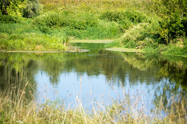 Similar image 9468547