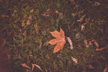 Similar image 9468548