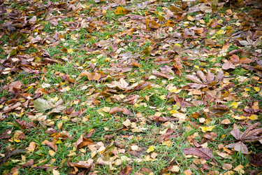 Similar image 9468550