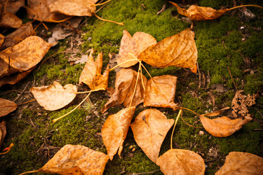 Similar image 9468552