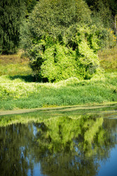 Similar image 9468559