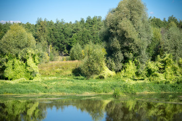 Similar image 9468565