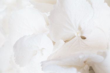 Similar image 9469141