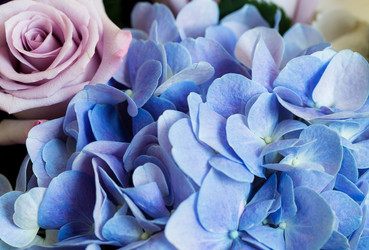 Similar image 9469293