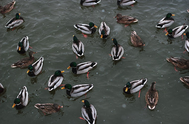 Similar image 9474956