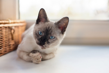 Similar image 9474959