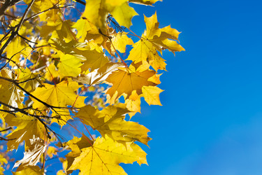 Similar image 9474963