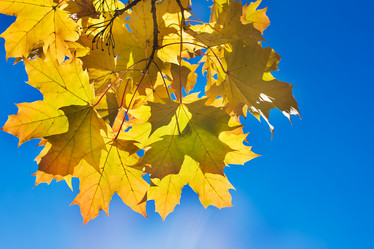 Similar image 9474966