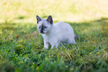 Similar image 9474981