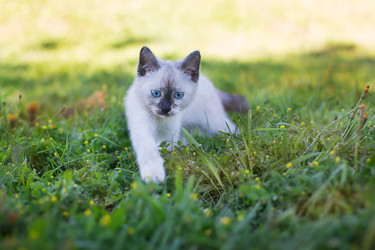 Similar image 9474983