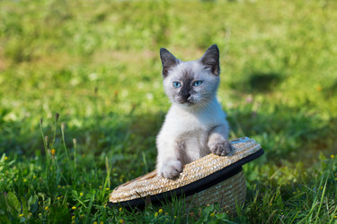 Similar image 9474985