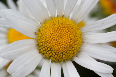 Similar image 9477256