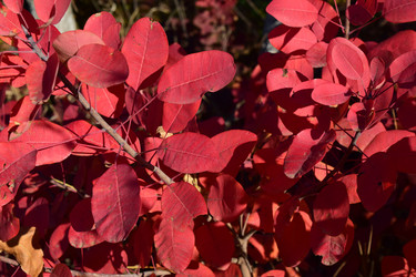 Similar image 9482114