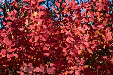 Similar image 9482150