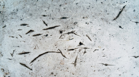 Similar image 9482236