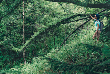 Similar image 9482241