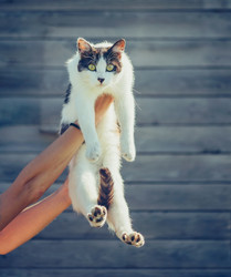 Similar image 9482250