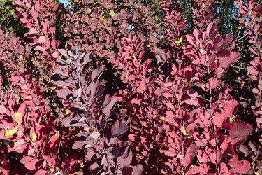 Similar image 9482271