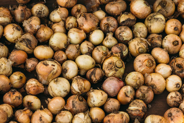 Similar image 9482276