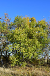 Similar image 9482284