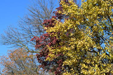 Similar image 9482302