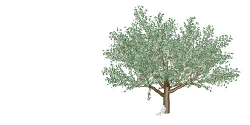 Similar image 9484257