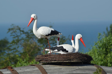 Similar image 9484392