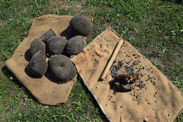 Similar image 9484572