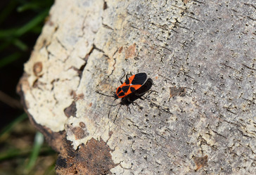 Similar image 9484684