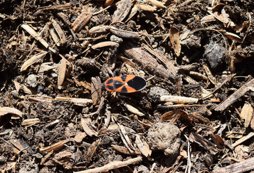 Similar image 9484689