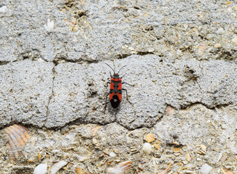 Similar image 9484693