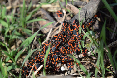 Similar image 9484694