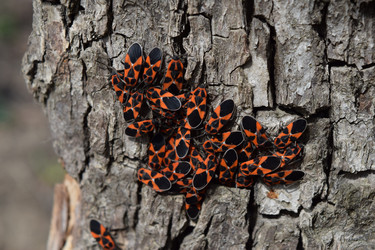 Similar image 9484697