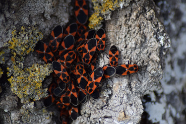 Similar image 9484699