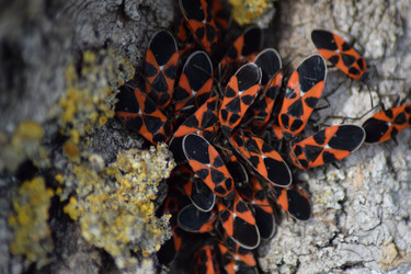 Similar image 9484826