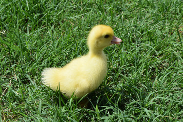 Similar image 9484828