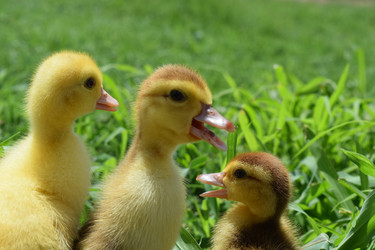 Similar image 9484831