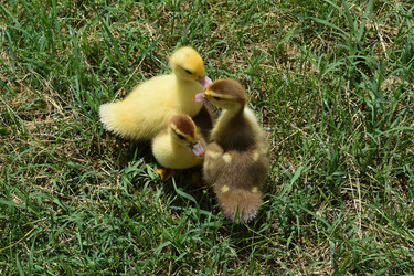 Similar image 9484835