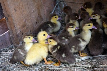 Similar image 9484837