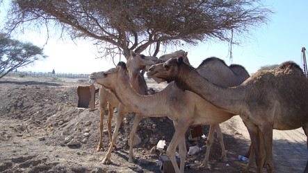 Similar image 9484860