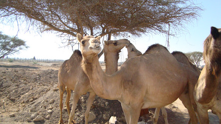 Similar image 9484866