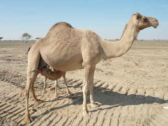 Similar image 9484868