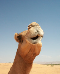 Similar image 9484967