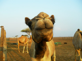 Similar image 9484981