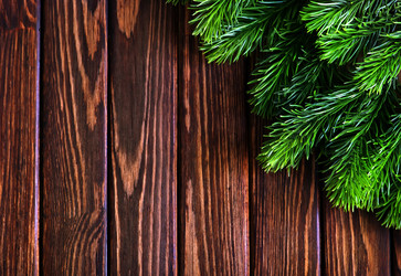 Similar image 9485562