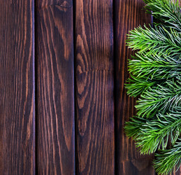 Similar image 9485567