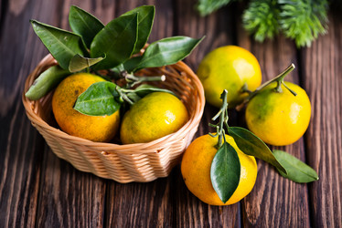 Similar image 9485707