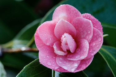 Similar image 9488494